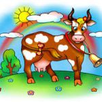 Содержание коров