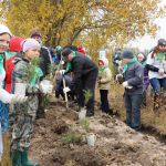 Чтобы сохранить